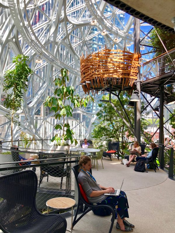 取自網路－Amazon Spheres 俯瞰圖