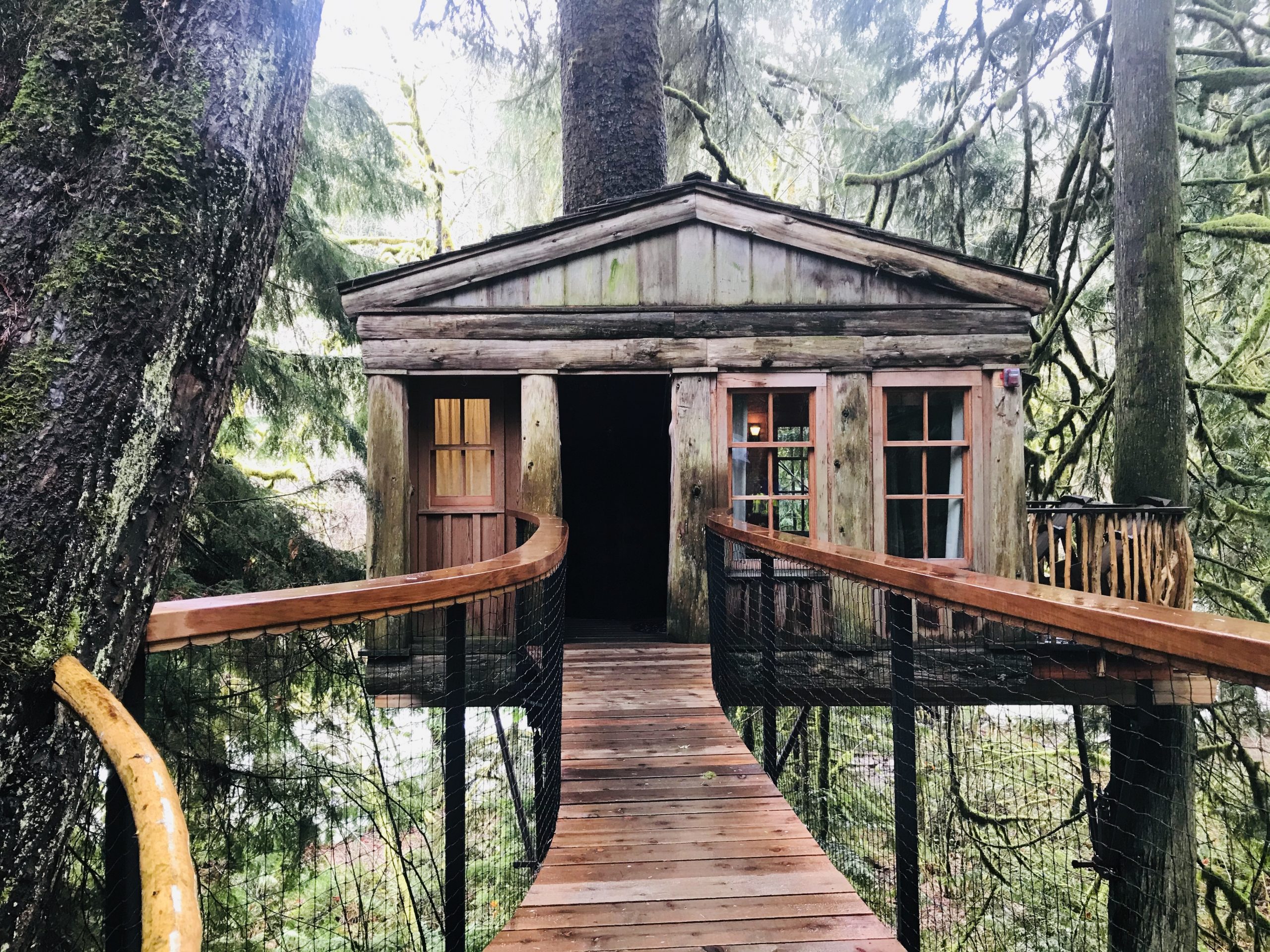 【Seattle】The Secret Realm of Nature-Treehouse Point