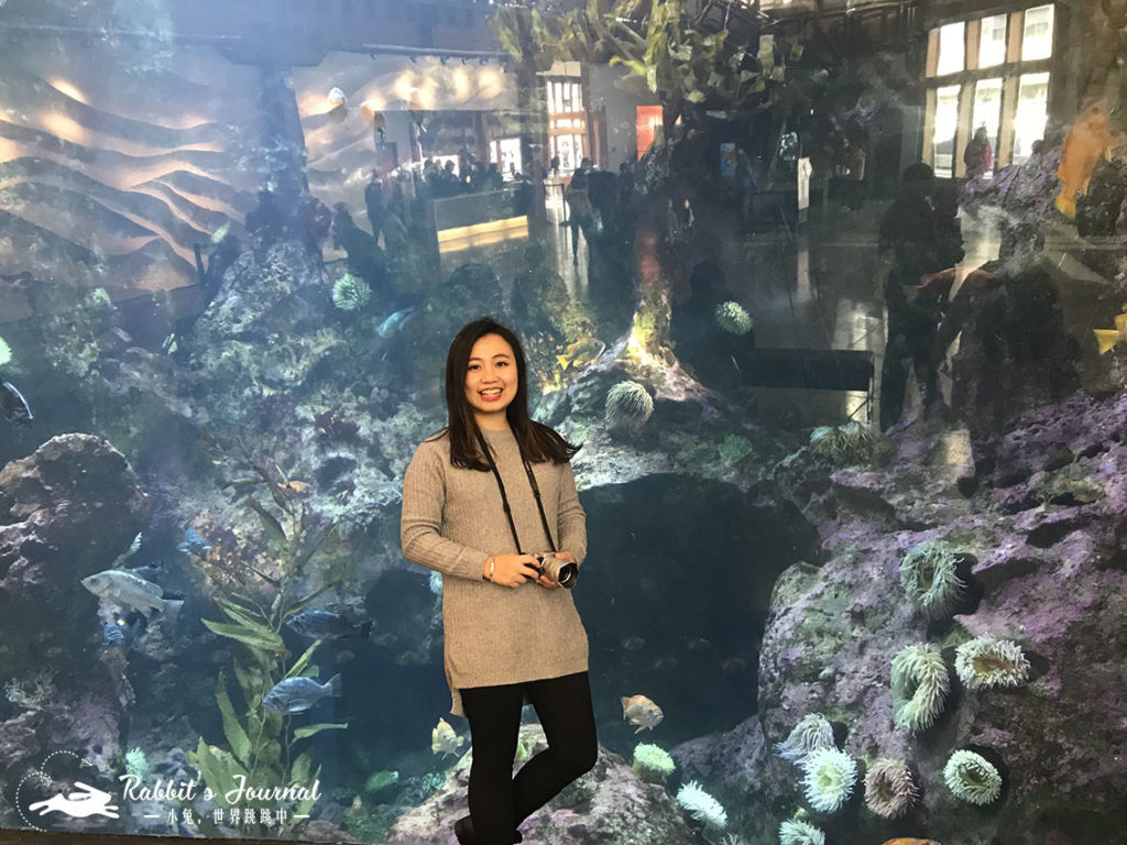 西雅圖水族館2