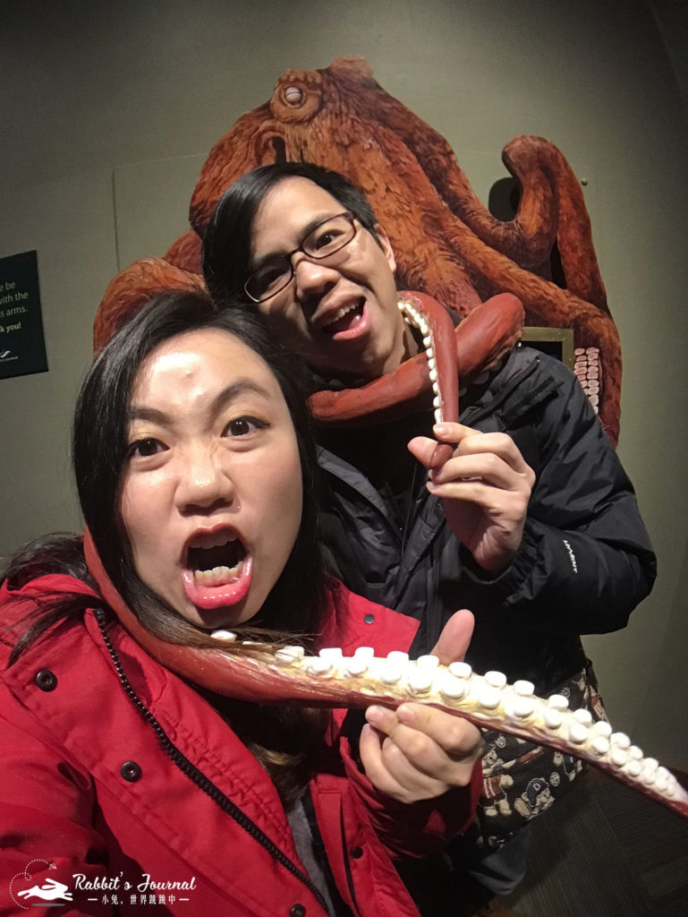 西雅圖水族館大章魚
