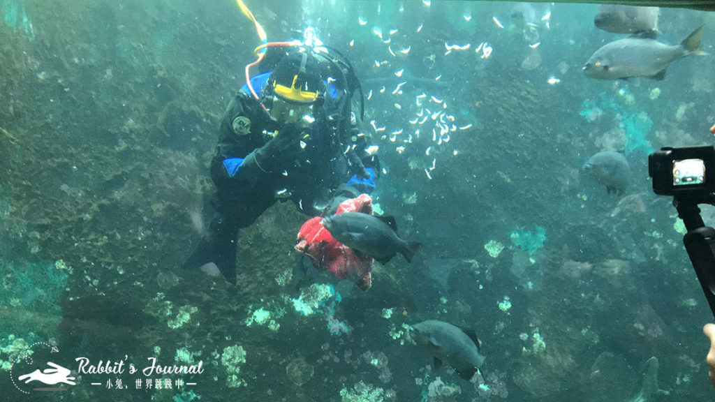 西雅圖水族館1